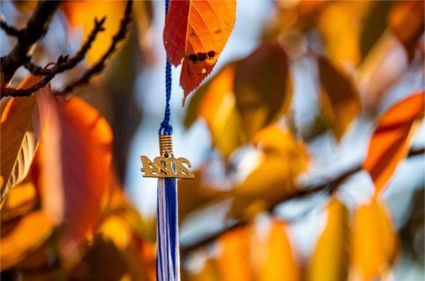  A 2024 graduation tassel hangs in a tree with vibrant orange autumn color.