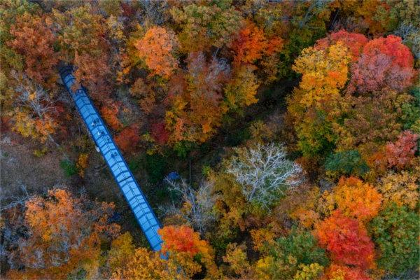  A drone photo of a blue bridge among colorful autumn leaves. 