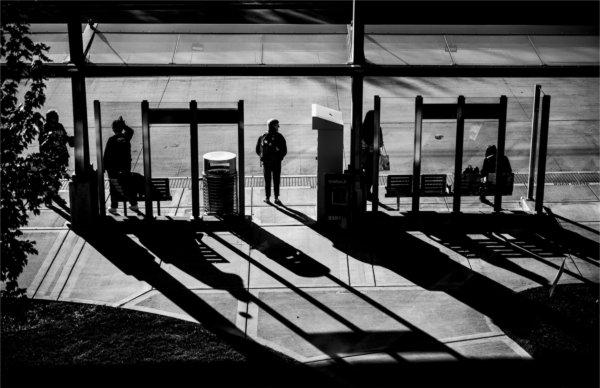 People cast shadows as they wait for the afternoon bus on a college campus.  